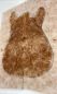 Preview: Top Maserahorn - Maple Burl Westcoast, 2-tlg. 8mm Einzelstück #006